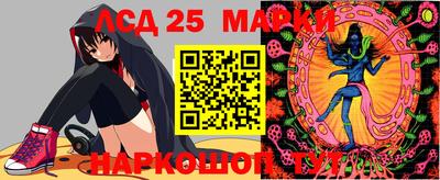 шишки Усть-Илимск