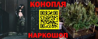 шишки Усть-Илимск