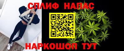шишки Усть-Илимск